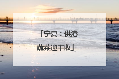 宁夏：供港蔬菜迎丰收