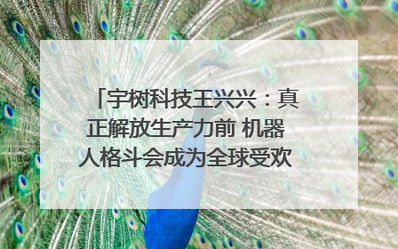 宇树科技王兴兴：真正解放生产力前 机器人格斗会成为全球受欢迎的赛事｜科技观察