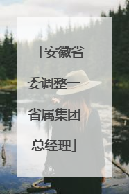 安徽省委调整一省属集团总经理