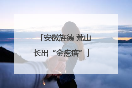 安徽旌德 荒山长出“金疙瘩”