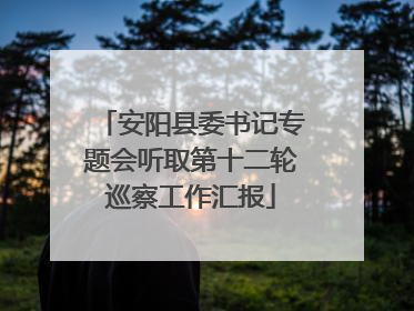 安阳县委书记专题会听取第十二轮巡察工作汇报