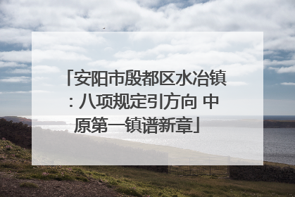 安阳市殷都区水冶镇：八项规定引方向 中原第一镇谱新章