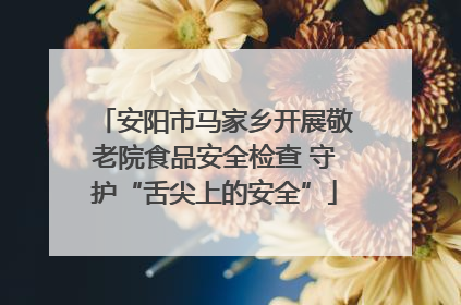 安阳市马家乡开展敬老院食品安全检查 守护“舌尖上的安全”