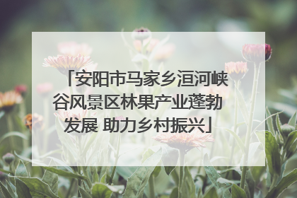 安阳市马家乡洹河峡谷风景区林果产业蓬勃发展 助力乡村振兴
