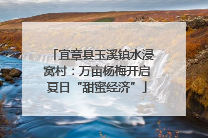 宜章县玉溪镇水浸窝村：万亩杨梅开启夏日“甜蜜经济”