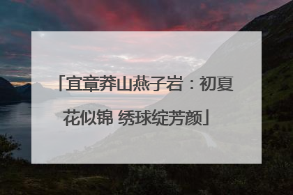 宜章莽山燕子岩：初夏花似锦 绣球绽芳颜