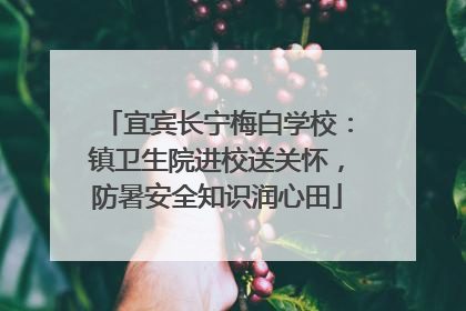 宜宾长宁梅白学校：镇卫生院进校送关怀，防暑安全知识润心田