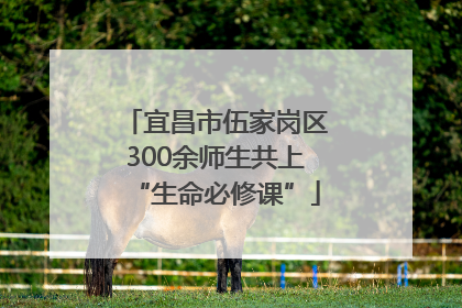 宜昌市伍家岗区300余师生共上“生命必修课”