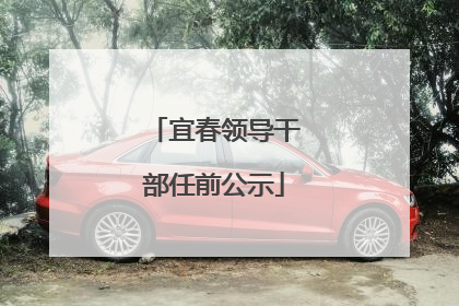 宜春领导干部任前公示