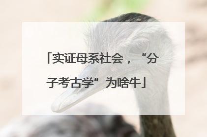 实证母系社会，“分子考古学”为啥牛