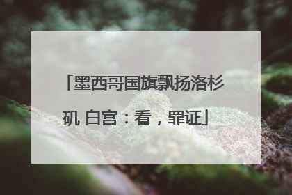 墨西哥国旗飘扬洛杉矶 白宫：看，罪证