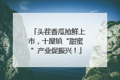 头茬香瓜抢鲜上市，十屋镇“甜蜜”产业促振兴！