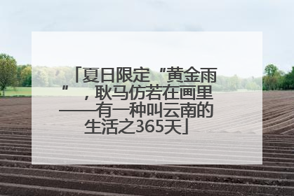 夏日限定“黄金雨”，耿马仿若在画里——有一种叫云南的生活之365天