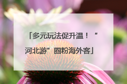 多元玩法促升温！“河北游”圈粉海外客
