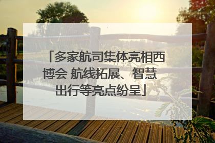 多家航司集体亮相西博会 航线拓展、智慧出行等亮点纷呈