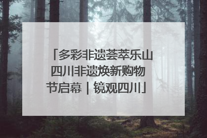 多彩非遗荟萃乐山 四川非遗焕新购物节启幕｜镜观四川