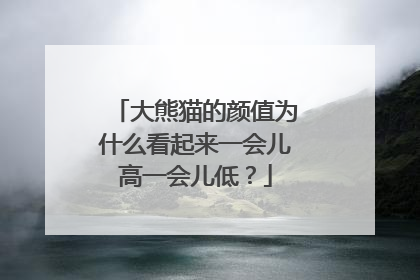 大熊猫的颜值为什么看起来一会儿高一会儿低？