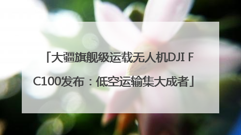 大疆旗舰级运载无人机DJI FC100发布：低空运输集大成者