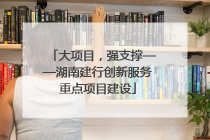 大项目，强支撑——湖南建行创新服务重点项目建设