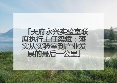 天府永兴实验室联席执行主任梁斌：落实从实验室到产业发展的最后一公里