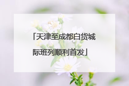 天津至成都白货城际班列顺利首发