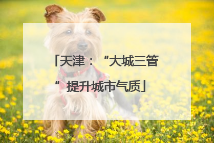 天津：“大城三管”提升城市气质