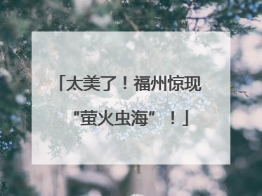 太美了！福州惊现“萤火虫海”！