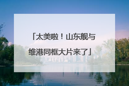太美啦！山东舰与维港同框大片来了