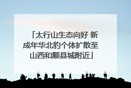 太行山生态向好 新成年华北豹个体扩散至山西和顺县城附近