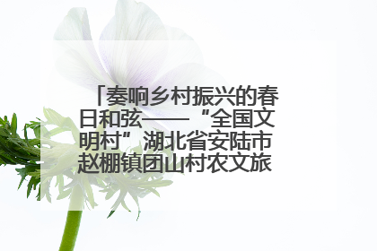 奏响乡村振兴的春日和弦——“全国文明村”湖北省安陆市赵棚镇团山村农文旅融合发展见闻