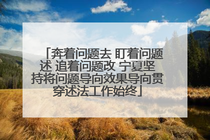 奔着问题去 盯着问题述 追着问题改 宁夏坚持将问题导向效果导向贯穿述法工作始终