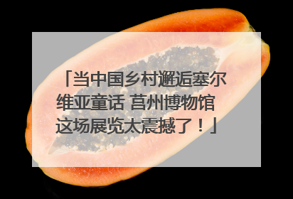 当中国乡村邂逅塞尔维亚童话 莒州博物馆这场展览太震撼了！