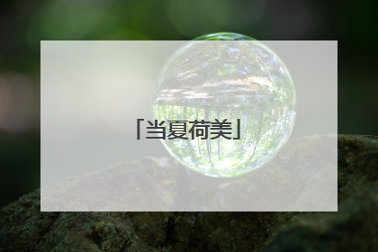 当夏荷美