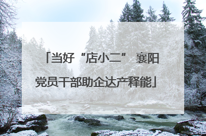 当好“店小二” 襄阳党员干部助企达产释能
