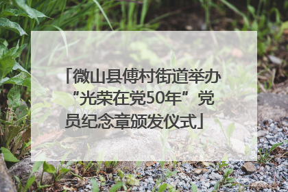微山县傅村街道举办“光荣在党50年”党员纪念章颁发仪式