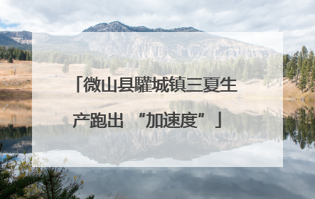 微山县驩城镇三夏生产跑出 “加速度”