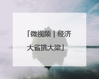微视频｜经济大省挑大梁