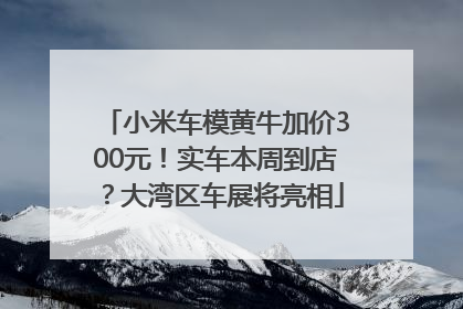 小米车模黄牛加价300元！实车本周到店？大湾区车展将亮相