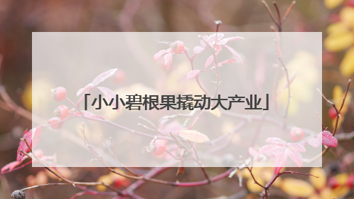 小小碧根果撬动大产业