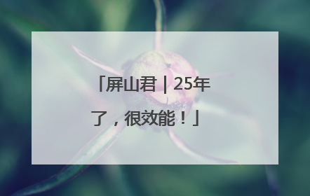 屏山君｜25年了，很效能！