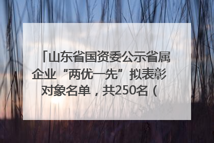 山东省国资委公示省属企业“两优一先”拟表彰对象名单，共250名（个）党员和党组织