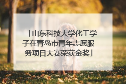 山东科技大学化工学子在青岛市青年志愿服务项目大赛荣获金奖