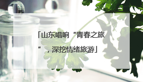 山东唱响“青春之旅”，深挖情绪旅游