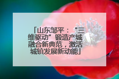 山东邹平：“三维驱动”锻造产城融合新典范，激活城镇发展新动能