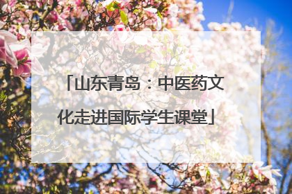 山东青岛：中医药文化走进国际学生课堂