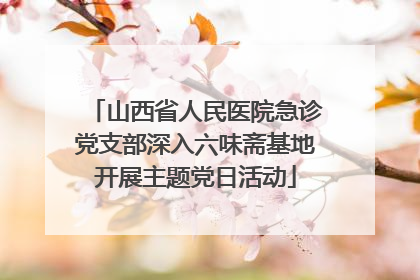 山西省人民医院急诊党支部深入六味斋基地开展主题党日活动