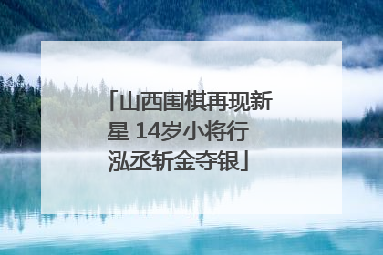 山西围棋再现新星 14岁小将行泓丞斩金夺银