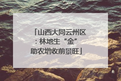 山西大同云州区：林地生“金” 助农增收前景旺