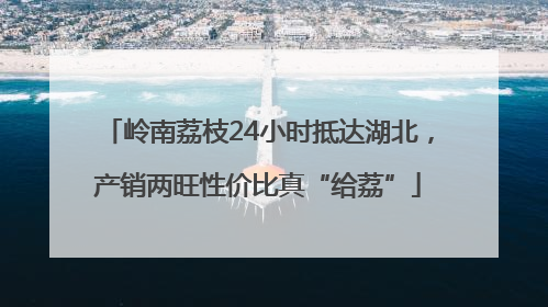 岭南荔枝24小时抵达湖北，产销两旺性价比真“给荔”
