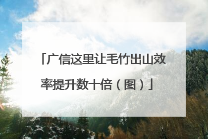 广信这里让毛竹出山效率提升数十倍（图）